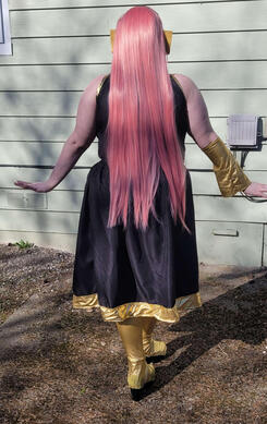 Back of Costume
