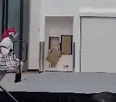 CCC24 Contest Walk (GIF)