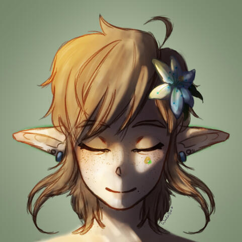 Botw Link Botw Link